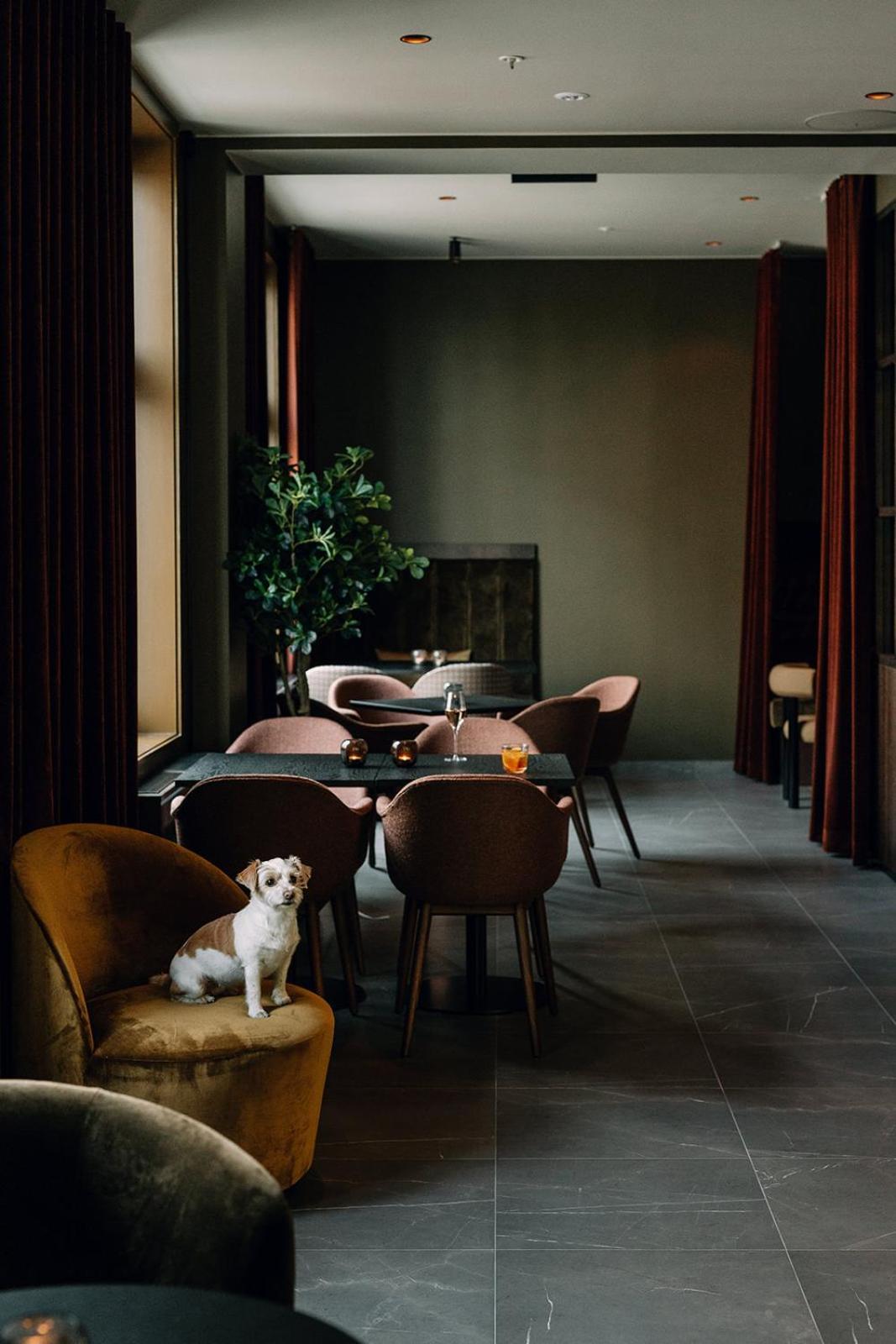 Saga Hotel Oslo, Worldhotels Crafted Zewnętrze zdjęcie